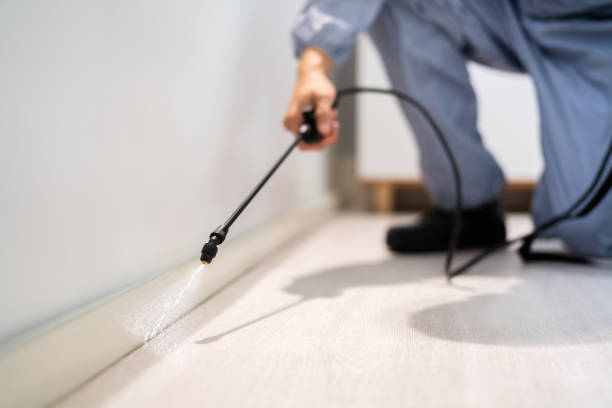 Licensed Rodent Control service in Greenfield, OH - Nex Pest Control