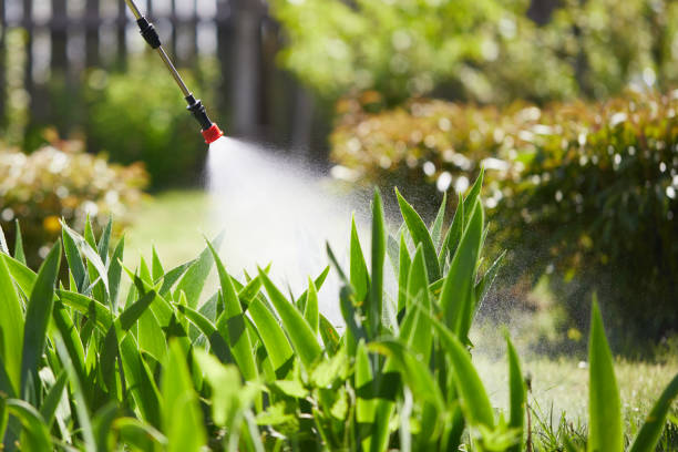 24/7 Emergency Rodent Control experts in Greenfield, OH